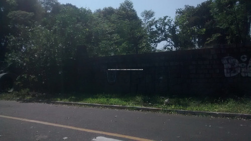 Imagem 7 de 15 de Terreno - Sao Jose - Ref: 46989 - V-46989