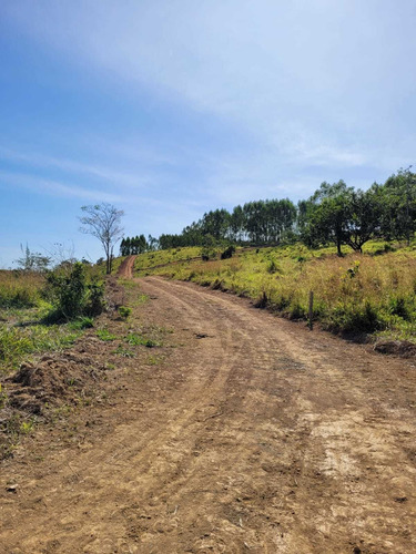 Imagem 2 de 30 de Chácara Em Centro, Martinho Campos/mg De 750m² 1 Quartos À Venda Por R$ 60.000,00 - Ch2330369-s