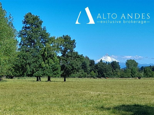 Imagen 11 de 18 de Sitio En Venta En Puyehue