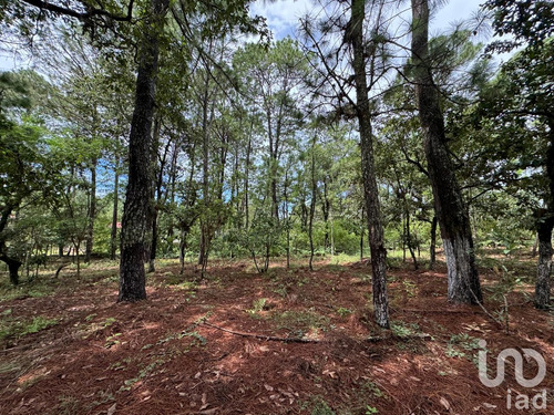 Venta Terreno 0 Ambiente Chijiltec (san Isidro)