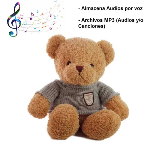 Osito Oso De Peluche Con Grabador De Voz Música Usb 16 Mb