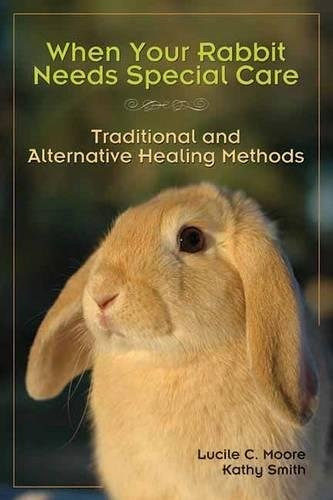 When Your Rabbit Needs Special Care Traditional And Alternat