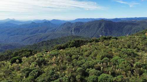 Oportunidade! 2 Hectares A Partir De R$ 99.000,00