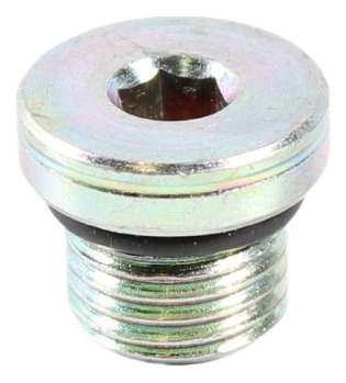 Tapon Block Motor Vertis Tector Iveco 4895605