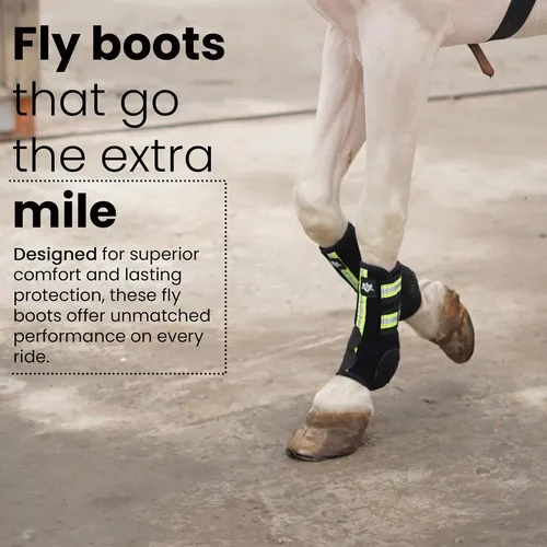 Gold horse boots online