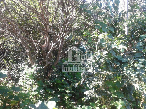 Chácara Com 2 Dormitórios À Venda, 4746 M² Por R$ 1.250.000 - Jardim Monte Carlo - Ribeirão Preto/sp - Ch0023