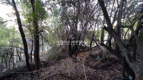 Imagen 14 de 14 de Susana Aravena Propiedades Terreno - San Martin De Los Andes