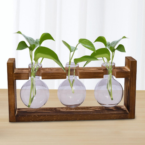 . Centro De Propagación Para Plantas 27,6x5,7x13cm
