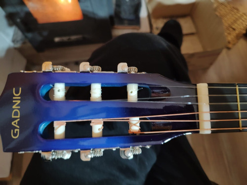 Vendo Guitarra Principiantes Gadnic