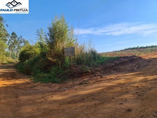 Imagem 8 de 9 de Fazenda Produtiva (arrendada) Em Elias Fausto / Capivari - Fa00003 - 70018165