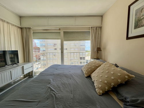 Apartamento En Alquiler Por Temporada De 1 Dormitorio En Peninsula (ref: Bpv-9506)