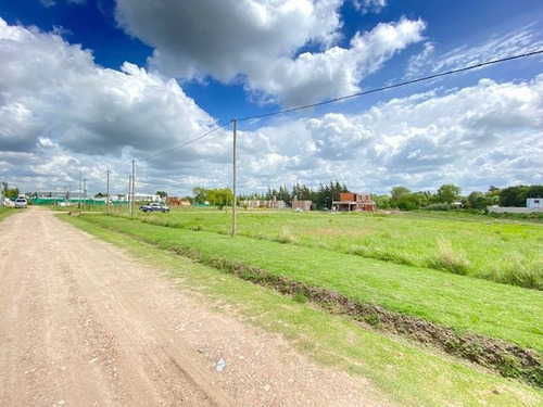Imagen 6 de 11 de Terreno - La Plata