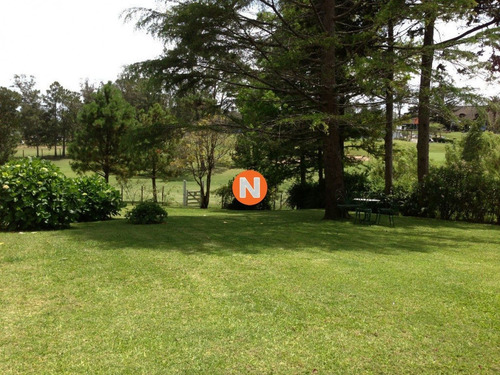 Casa En Venta Y Alquiler, Golf, Punta Del Este, 5 Dormitorios.- Ref: 206361