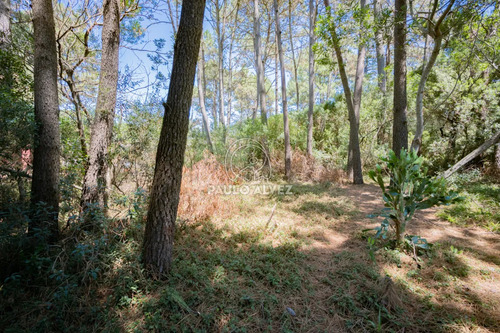 Te1543- Ubicado En Country, Zona En Constante Crecimiento, Un Lugar Ideal Para Comenzar Tu Proyecto De Vida. Servicios De Ute Y Ose En Puerta