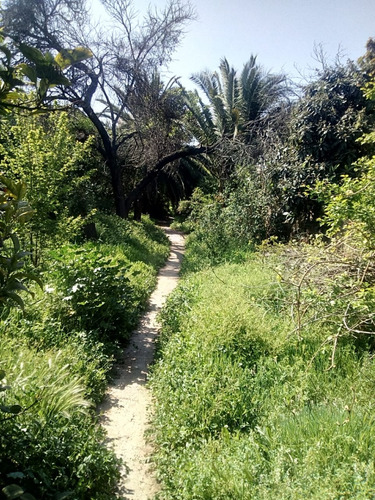 Se Vende Sitio En Ñuñoa.