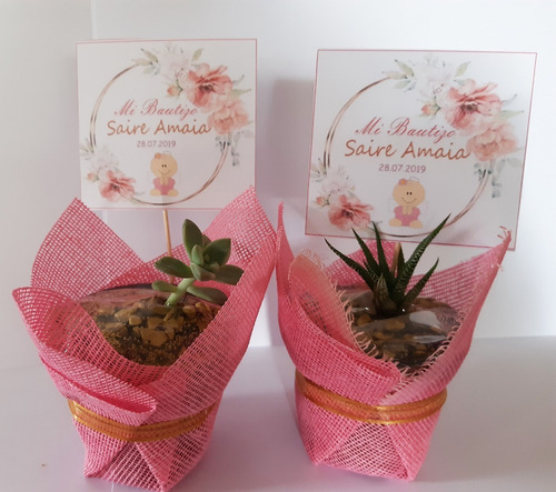 Imagen 8 de 10 de Recuerdos 35 Plantas Suculentas Decoradas Todo Evento