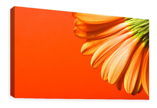 Cuadro Decorativo Canvas Moderno Flor Fondo Naranja