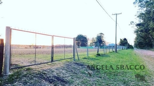 Imagen 3 de 4 de Alquiler De Campo Parada Robles