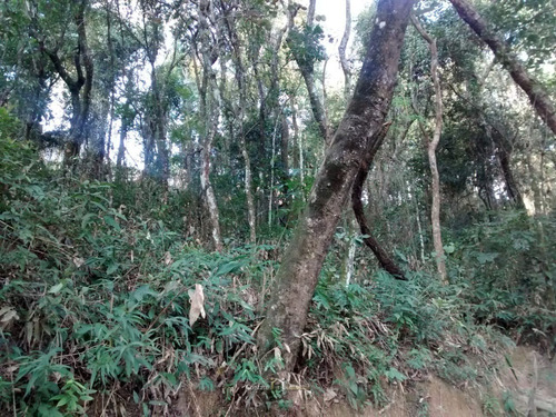 Imagem 2 de 5 de Terreno Jardim Paulista Em Atibaia - 650m² - Te0104-1