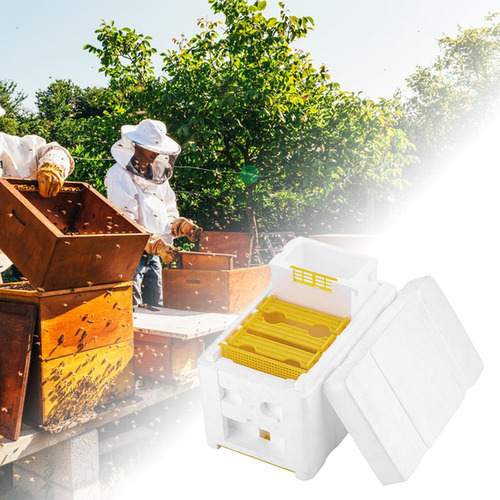 Estuche Para Cría De Abejas Queen, Caja Colmena De Abejas,