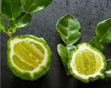 Kaffir Limon , Arbolito 1.8 Metros Pregunte Costo De Envio