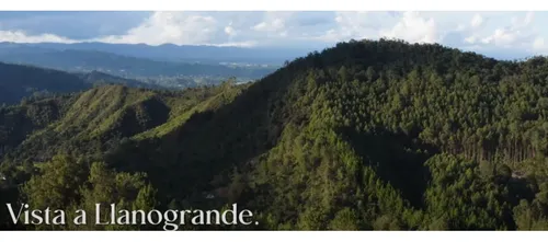 Venta De Lote Vía Don Diego La Ceja