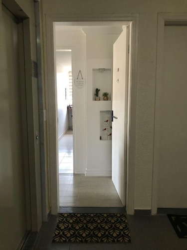 Imagem 9 de 30 de Apartamento À Venda No Bairro Butantã - São Paulo/sp - O-27682-45116