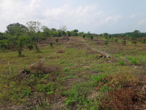 Venta De Terrenos Colonia Altamira Tuxpan Veracruz.