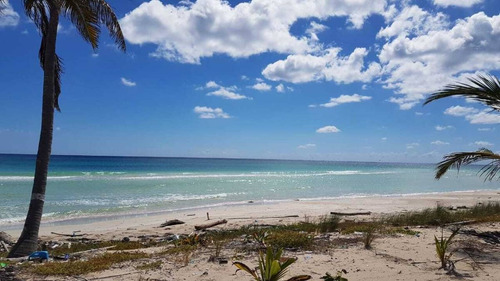 Imagen 4 de 5 de Venta Terreno De 801m2 Frente Al Mar En Carretera Mahahual- Xcalak P3413
