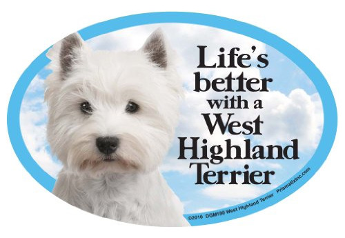 Perro Gato Imanes West Highland Terrier