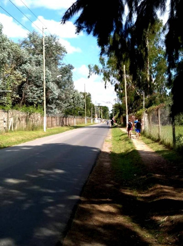 Imagen 11 de 12 de 4 Hectáreas En Venta En Villa Astolfi - Zona Comercial