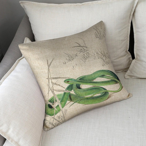 Serpiente Verde En La Hierba Thow Pillow Covers Protectores