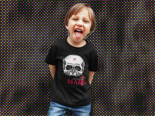 Playera 33 Thirty Sec To Mars Premium