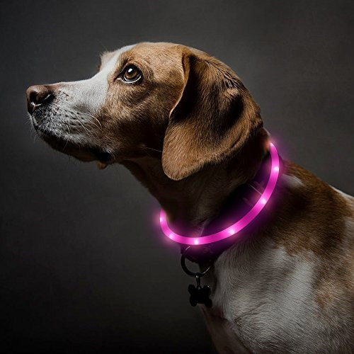 Collar De Perro Led Bseen, Usb Recargable Ilumina El Collar 