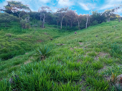 Venta Lote N°6 En Parcelación Campestre Dapa