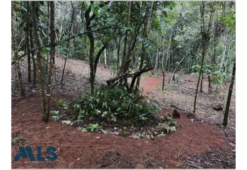 Finca Independiente En Rionegro - Sajonia(mls#246280)