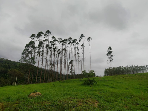 Imagem 4 de 6 de A30 Lote Com Pagamento Facilitado