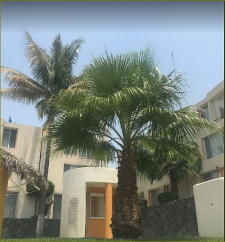 Imagen 10 de 13 de Casa En Venta En Residencial Xochitepec Cuernavaca Nrm