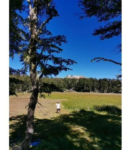 Campo En La Tapera , Rio Cisnes , Comuna Lago Verde