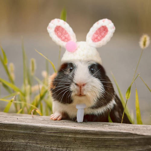 Gorro De Hámster De 4 Piezas Para Animales Pequeños Con Corr