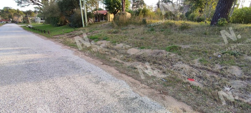 Imagen 2 de 10 de Oportunidad - Punta Del Este Marly