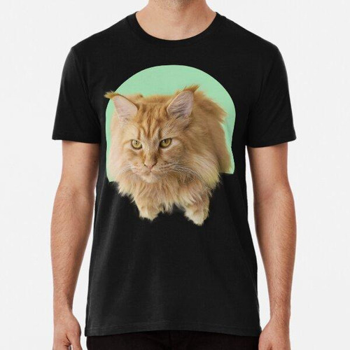 Remera Maine Coon Accompanies You Algodon Premium