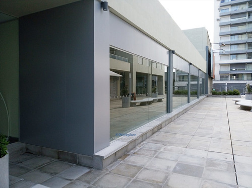 Imagen 17 de 22 de Local Comercial O Oficina - Palermo - Alquiler Cw124050