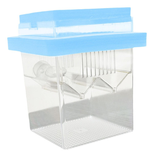 Caja De Reproducción De Peces Flotantes Caja De Azul