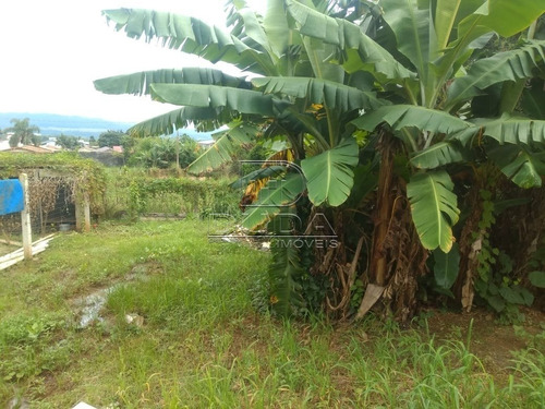 Imagem 5 de 8 de Terreno - Mina Do Mato - Ref: 33058 - V-33055