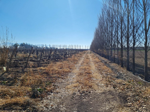 Imagen 9 de 20 de 41 Ha Ruta 15 (zona Bodegas)