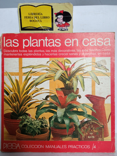 Las Plantas En Casa - Decoración - Piesa - Manuales