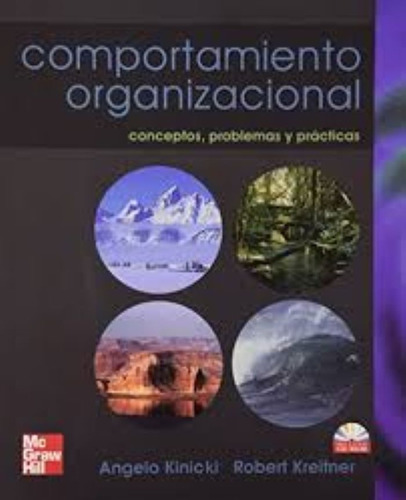 Comportamiento Organizacional 