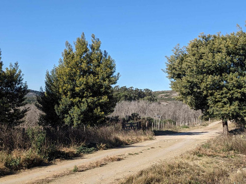 Oportunidad En Tandil, Venta De Excelente Terreno! Con Una Vista Única A Las Sierras, Arbolado, En El Barrio Golf - Los Cardos, Sobre Asfalto, Escrituración Inmediatal