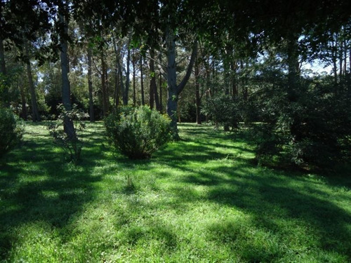 Chacra De 15has 2 Dormitorios + Casa Casero La Pataia